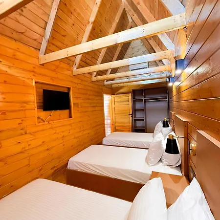 Navy & * Arnavutköy